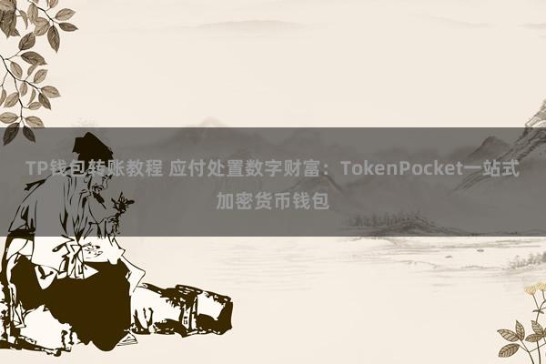 TP钱包转账教程 应付处置数字财富：TokenPocket一站式加密货币钱包